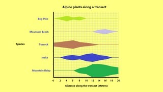 How to make a Kite Graph [upl. by Finella]