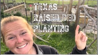 Planting My East Texas Garden Bonus Video [upl. by Ardnuaet]