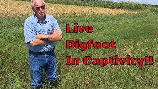 PAYING TO SEE A CAPTIVE LIVE BIGFOOT Bigfoot sasquatch [upl. by Koo]