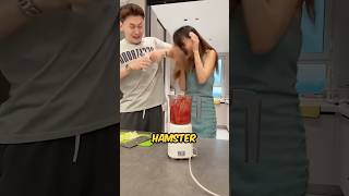 She Pranks Her Brother By Dropping His Hamster In The Mixer shortsvideo [upl. by Atirres]