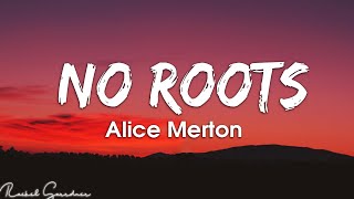 Alice Merton – No Roots Lyrics [upl. by Teena]