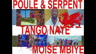 MOISE MBIYE ADORE LE SERPENTDRAGON COMME MICHAEL JACKSON DANS LE CLIP TANGO NAYE POULE CACHÉE [upl. by Eiaj872]