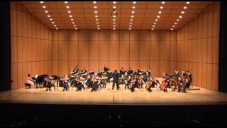 수원 팝스 오케스트라 제3회 정기연주회20131028Beethoven Virus [upl. by Selrhc]