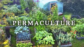 Using Permaculture to Create Productive amp Beautiful Gardens [upl. by Traggat]