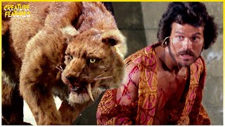 Sinbad Fights Zenobia  Sinbad and the Eye of the Tiger  Creature Features [upl. by Yot]