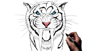 How To Draw A Sabertooth Tiger  Step By Step [upl. by Eceertal]