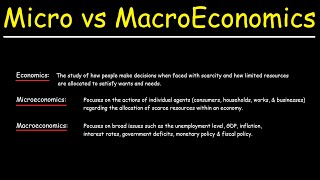 Microeconomics vs Macroeconomics [upl. by Prisilla]