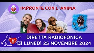 Diretta radiofonica di lunedì 25 Novembre 2024 [upl. by Zeke]