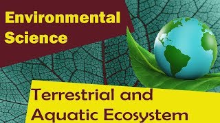 Terrestrial and Aquatic Ecosystem   Environmental Science [upl. by Kalli]