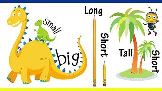 Big And Small For Kids And Children  Comparison for Kids  Learn PreSchool Concepts [upl. by Eivol233]