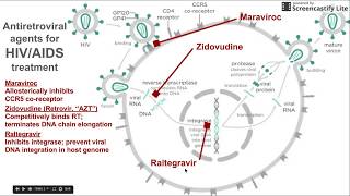 Antiretroviral agents for HIV  AIDS treatment [upl. by Ackley]