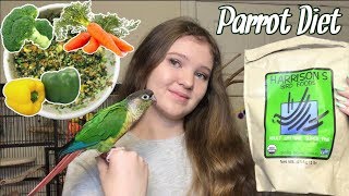 WHAT SHOULD YOU FEED YOUR BIRD  My Parrots’ Complete Diet [upl. by Adiesirb]