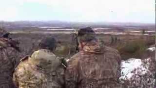 Late Season Moose Hunting at Red Indian Lake Outfitters  Woods N Water TV [upl. by Arenat]