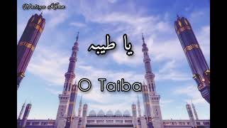 Ya Taiba  Ayesha Abdul Basit  Lyrics in Arabic amp English [upl. by Akinar412]