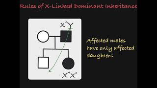 X Linked Dominant Traits in a Pedigree [upl. by Christye]