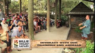 Florida Everglades Vacation with the Seminole Tribe [upl. by Nalak]