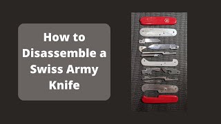 How to disassemble a Swiss Army Knife [upl. by Ias]