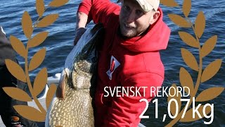 Svenskt rekord på gädda  2107 kg [upl. by Evod667]