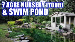 PONDS with PRICES and GARDEN TOUR Greg Wittstock The Pond Guy [upl. by Annayrb]