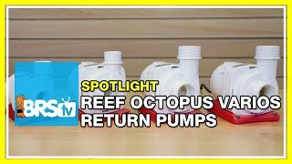 The Reef Octopus VarioS DC powered pump  BRStv Spotlight [upl. by Aenehs]