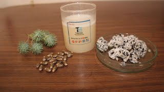 Extract Castor oil from Castor Seeds [upl. by Radack]