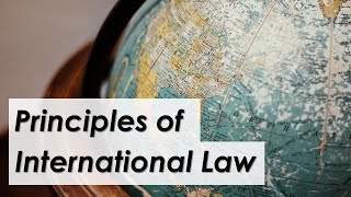 Main principles governing the international legal system  LexIcon [upl. by Nyram]