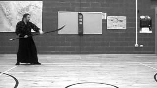 Junsei Ryu Naginata No Kata [upl. by Gnes]