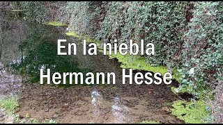 En la niebla Hermann Hesse [upl. by Asinet]