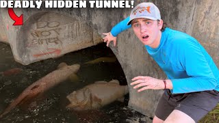 I Saved Fish From a DEADLY Hidden Tunnel [upl. by Haimrej13]