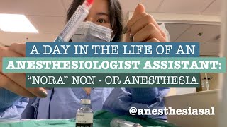 A day in the life of an Anesthesiologist Assistant Non OR Anesthesia quotNORAquot [upl. by Atsahc]