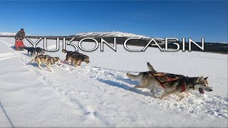 Yukon Dogsledding  Mushing a Team of Alaskan Huskies  Cabin Life E5 [upl. by Ahsoet]