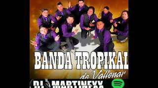 MIX BANDA TROPIKAL 2020 🔥DJ MARTINEXX🔥 [upl. by Funch861]