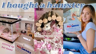 I BOUGHT A HAMSTER cage setup amp hamster haul [upl. by Lirrehs]