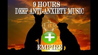 9 Hours of Deep Separation Anxiety For Dog Relaxationtested [upl. by Gilbertine402]