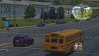 School Buses Caught By Red Light Cameras [upl. by Dnamra]