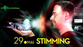 Stimming LIVE  Harry Klein [upl. by Wallinga]