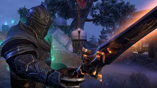 ESO PvP  Stamden vs Magden PC EU Ravenwatch [upl. by Uzzia504]