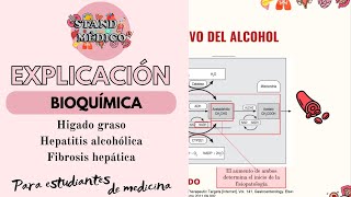 Hepatopatía ALCOHÓLICA Todo lo que debes de saber [upl. by Kirk]