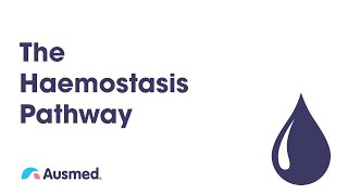 The Haemostasis Pathway  Ausmed Explains [upl. by Nairadal]