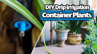 How to Install Drip Irrigation for Containers and Potted Plants Complete Beginners DIY Guide [upl. by Hachmann913]