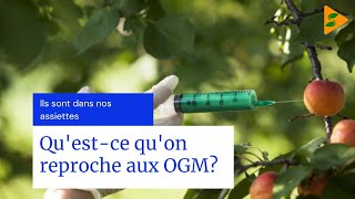 LES ORGANISMES GÉNÉTIQUEMENT MODIFIÉS OGM DANS LAGRICULTURE [upl. by Wertz]