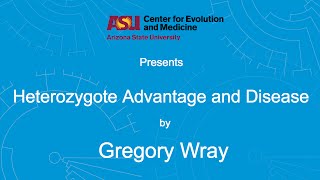 Heterozygote Advantage and Disease  Gregory Wray [upl. by Ahsii422]