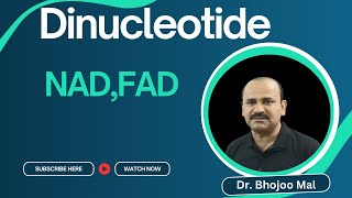 Dinucleotide  Class 11 Biology  by Dr Bhojoo Mal [upl. by Aissirac306]