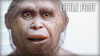 Why Homo Floresiensis May Still Be Around with Dr Gregory Forth [upl. by Duntson]