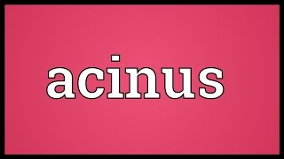 Acinus Meaning [upl. by Tarfe]