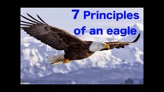 INSPIRE  7 Leadership Principles of an quotEaglequot【EN】 [upl. by Nivek]