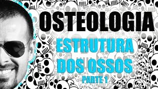 Sistema Esquelético  Estrutura dos ossos longos Parte 12  Anatomia Humana  VídeoAula 006 [upl. by Cummins]