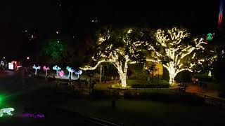 BUSCH GARDENS SKYRIDE CHRISTMAS 4K TAMPA FLORIDA [upl. by Paresh]