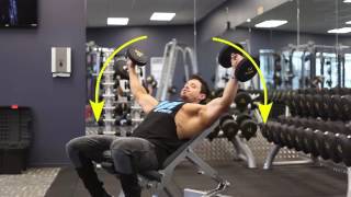 Master the Chest Fly Press  Best Chest Training  BPI Sports [upl. by Aenotna]