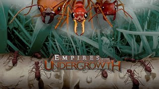 Empires of The Undergrowth 2020  Ant Colony Real Time Strategy [upl. by Digirb]